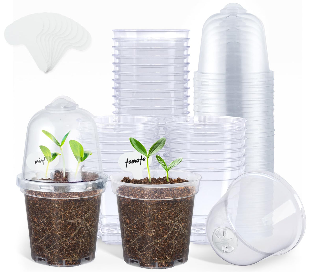 homenote 3/4/5 Inch Clear Nursery Pots with Drainage and 20 Labels (30 Pcs)
