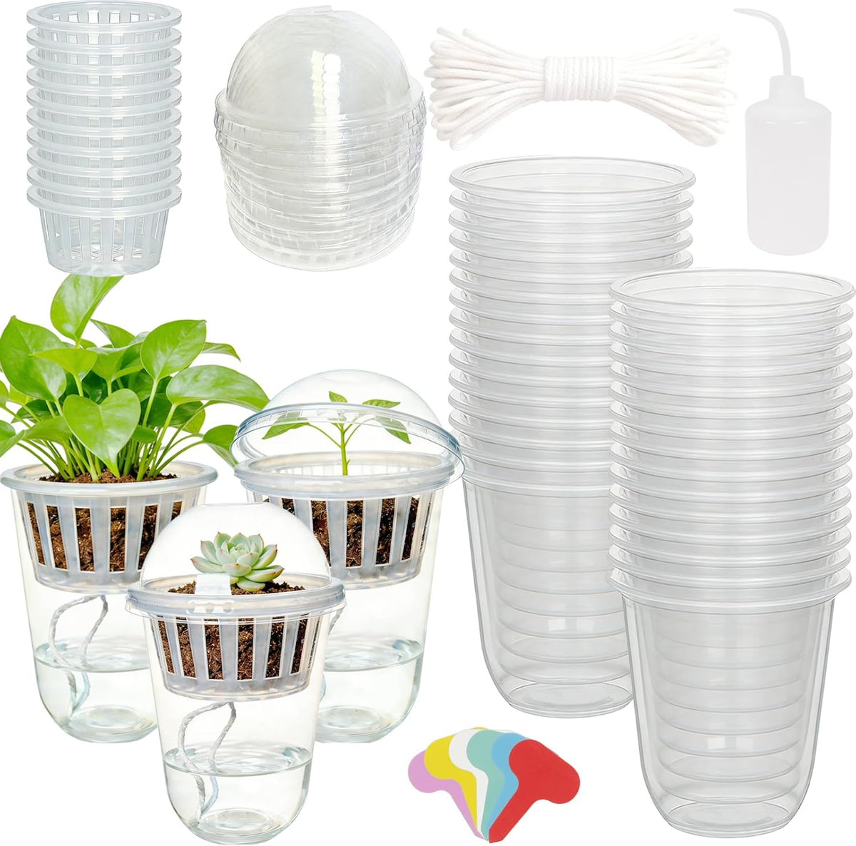 24 Pack 4 inch 500 ML Clear Self Watering Plant Pots, Transparent Plant Germination Nursery Pot, Seed Starting Container for Indoor Outdoor Planting Seedling, Diamond-Patterned