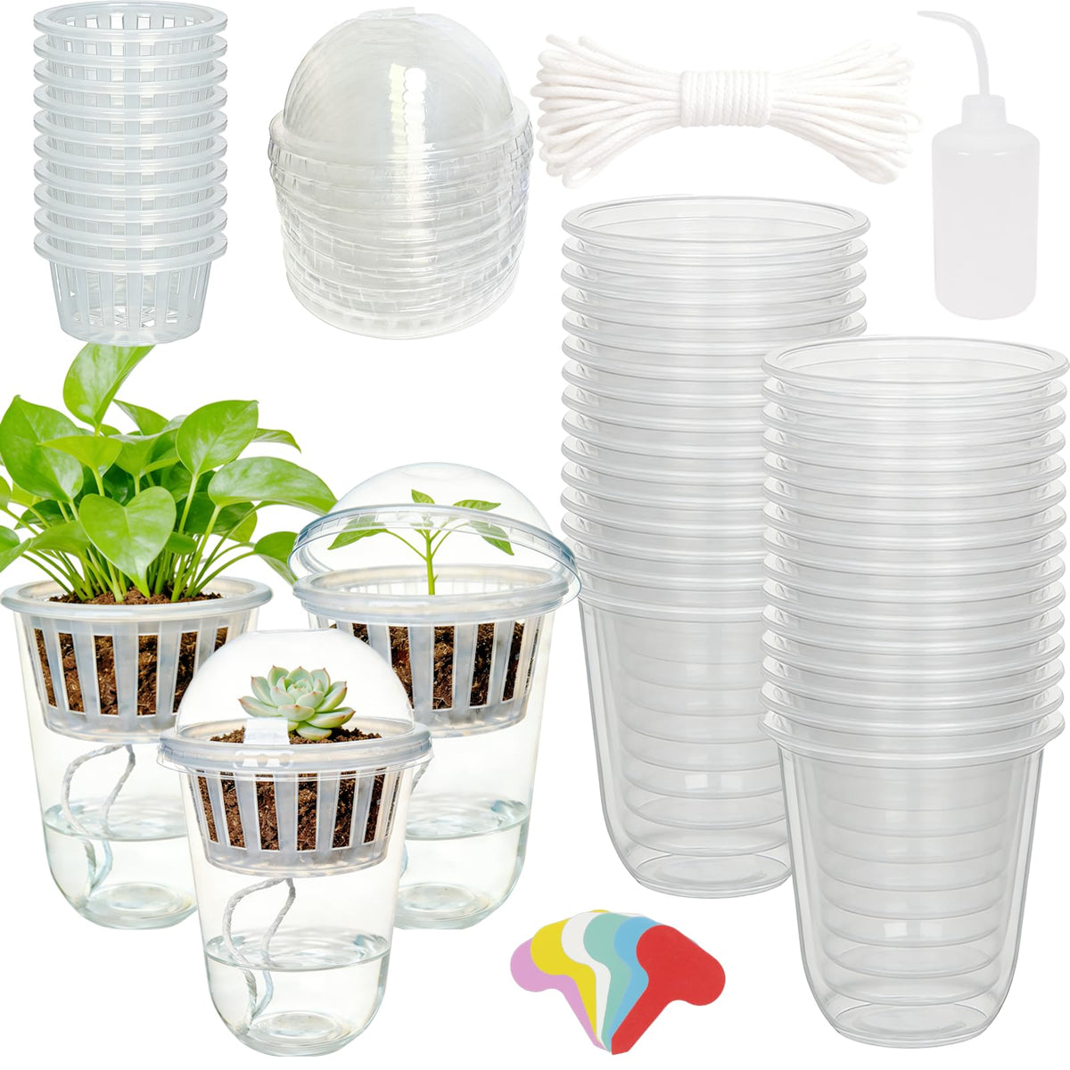 24 Pack 4 inch 500 ML Clear Self Watering Plant Pots, Transparent Plant Germination Nursery Pot, Seed Starting Container for Indoor Outdoor Planting Seedling, Diamond-Patterned
