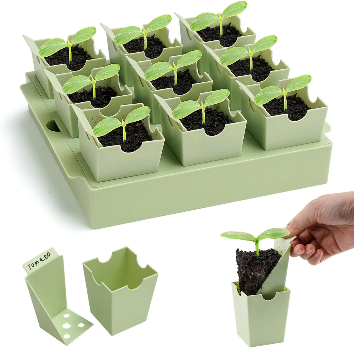 Seed Starter Tray with Lift-Out Handles for Easy Transplanting