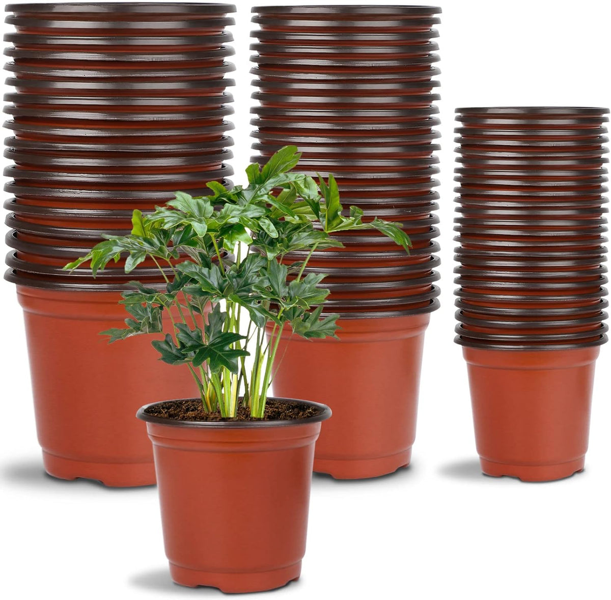 Augshy 120 Pcs Plastic Plants Nursery Pot, Seed Starting Pots 4,5,6-Inch