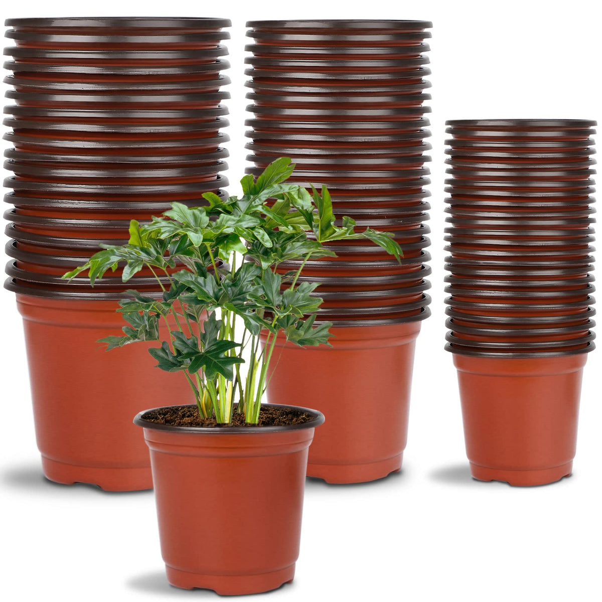 Augshy 110 Pcs 6 Inches Plastic Plants Nursery Pot, Seed Starting Pots