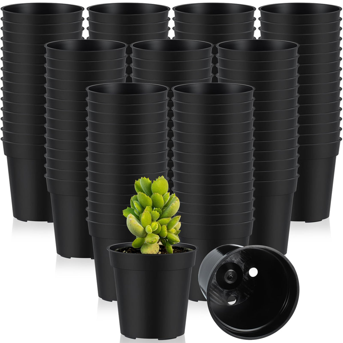 Yaomiao 200 Pcs 2 Inch Clear Mini Nursery Pots with Drainage Holes