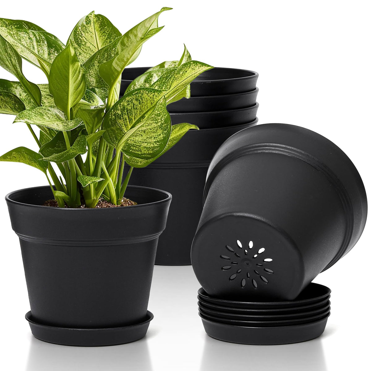 T4U Small Plant Pots 5 Inch 8 Pack, Plastic Indoor Flower Pots Saucer White