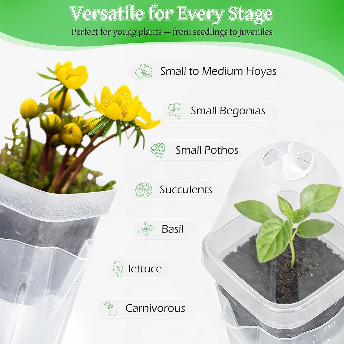 12Pack 2.5" Self Watering Seed Starter Pots for Plant Propagation Cuttings