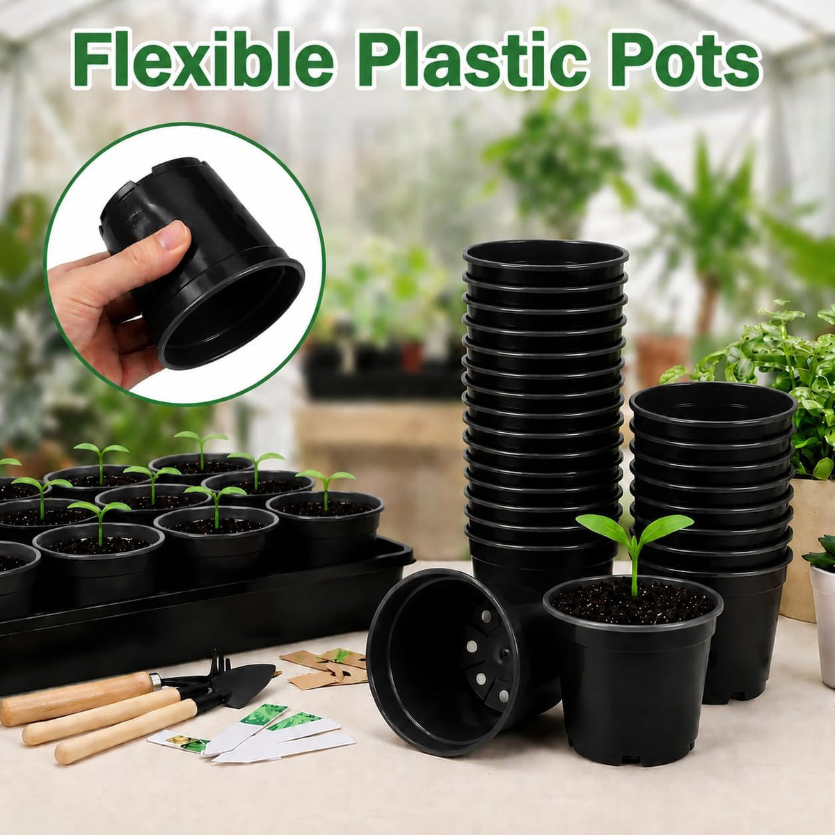 5 Pack Plastic Seed Starter Tray with 60pcs 3.5 inch Seedling Pots