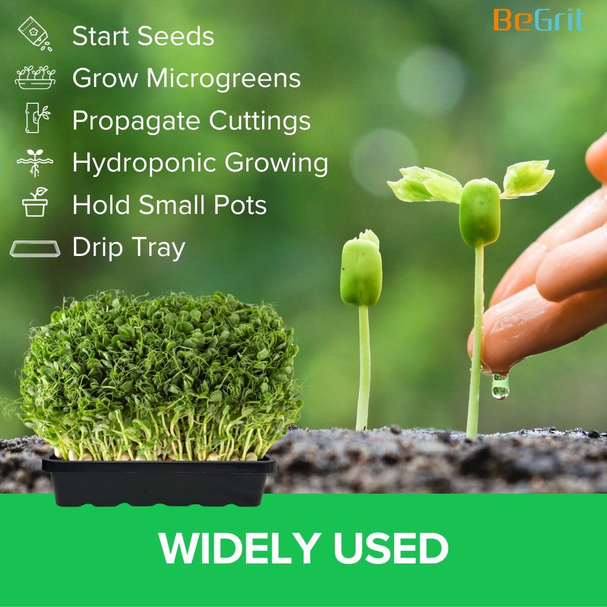 BeGrit 1010 Growing Trays Extra Strength Seed Tray 10" x 10" Without Drain Holes for Seedling Starter Microgreens Wheatgrass Fodder Hydroponic 10-Pack Black