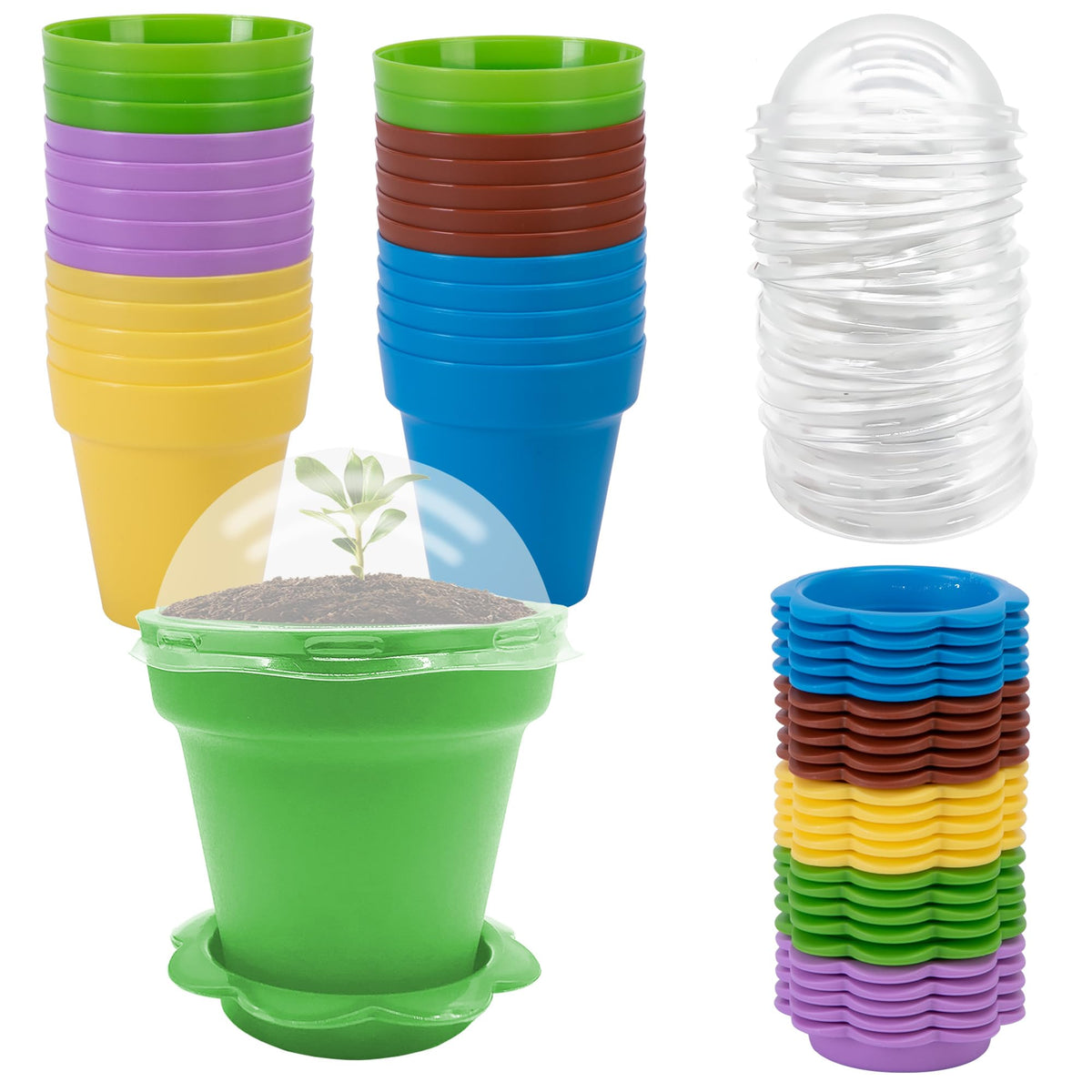 PURPLE STAR 1N 50 Packs Cupcake Plant Nursery Pots with Humidity Dome- Planting Containers Cups- Small Flower Pots for Indoor Outdoor Plant Succulent Vegetable (Mixed Color)