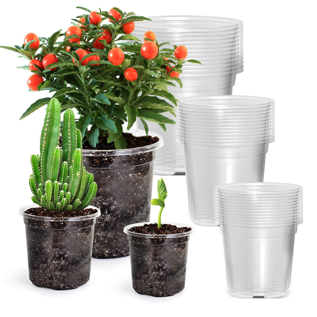 Bluepro Clear Nursery Pots with Drainage Holes, 3.5/4/5/7 Inch, 36-Pack