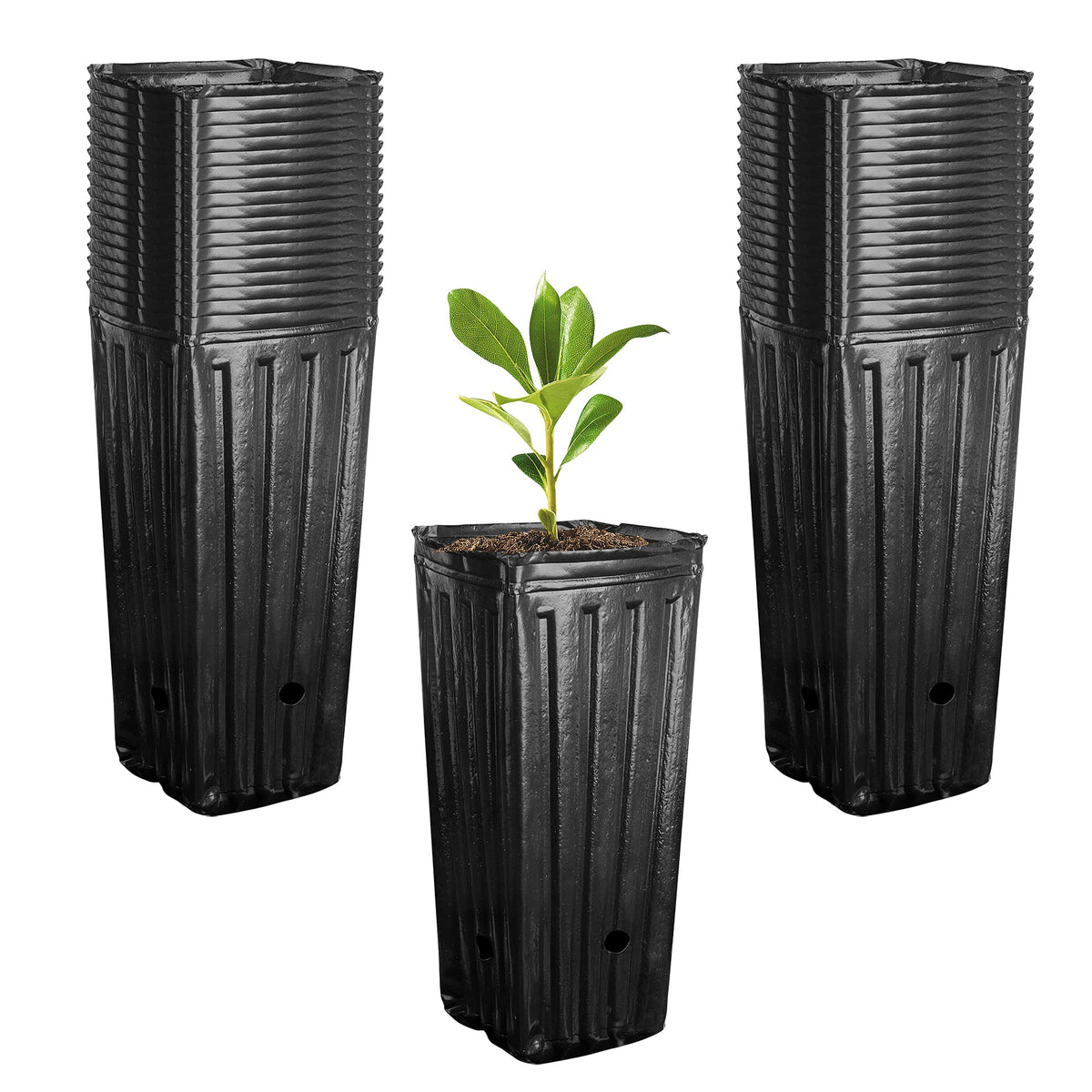 RunNico 50pcs Plastic Deep Plant Nursery Pots,11.8”Tall Tree Pots,Black Deep Seedling Container Pots with Drainage Holes for Indoor Outdoor Gardening (3.9" Wx11.8 H)