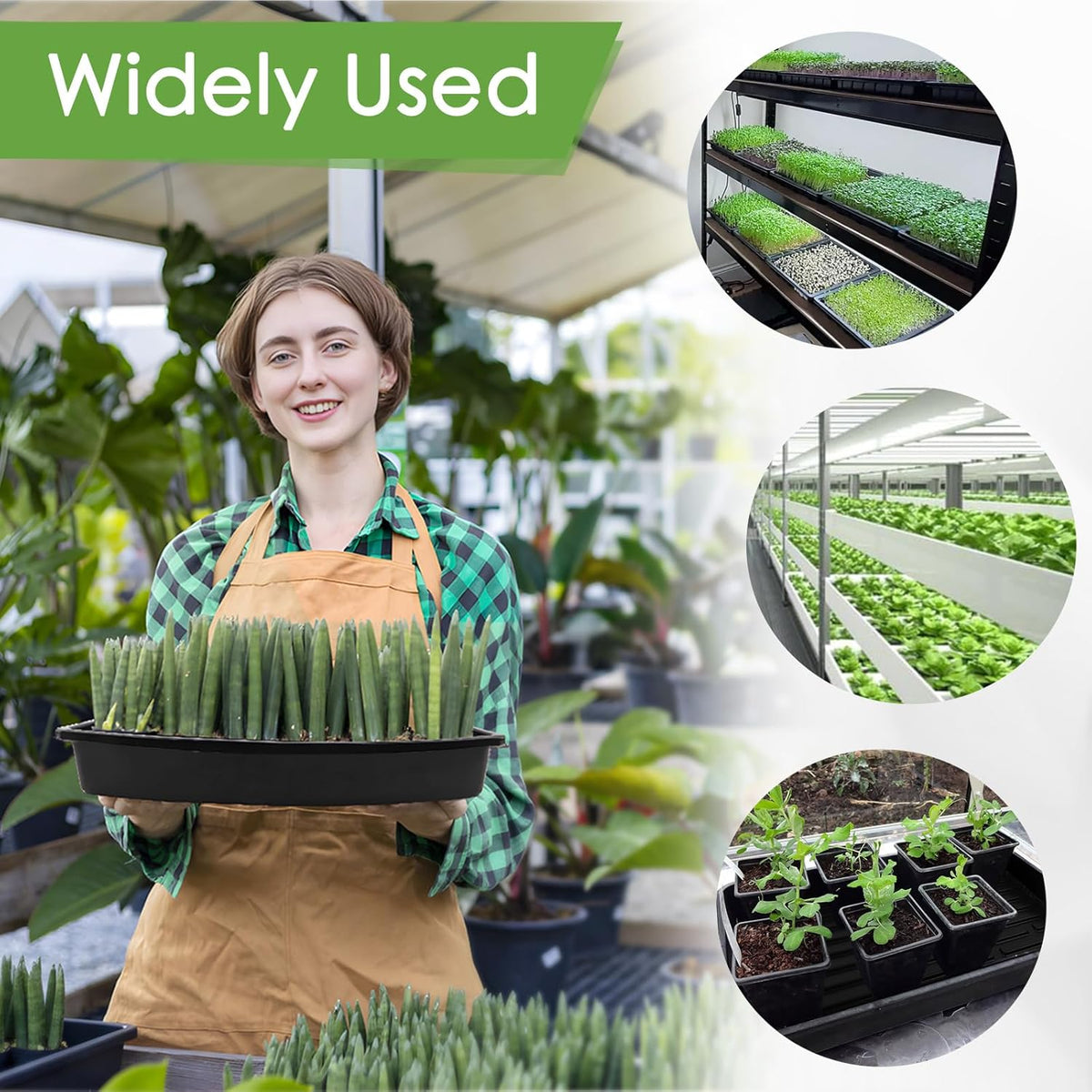 6 Pack Microgreens Growing Kit, Microgreens Trays for Indoor Gardening