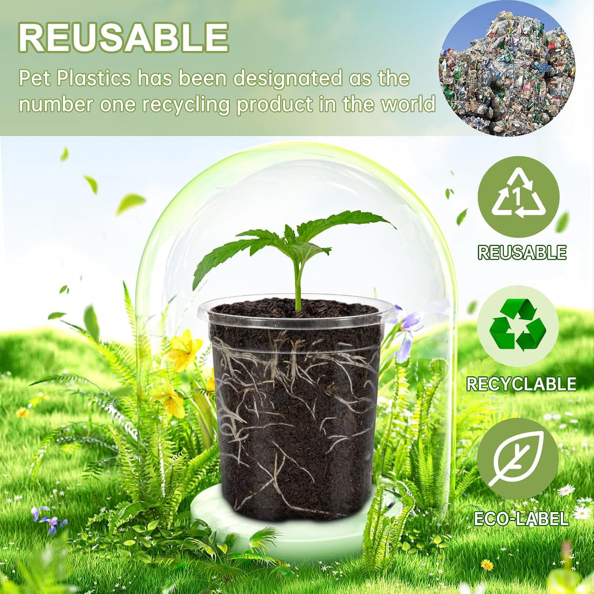 30 Pack Clear Nursery Plant Pots, 4 Inch with Drainage Holes, 20 Labels