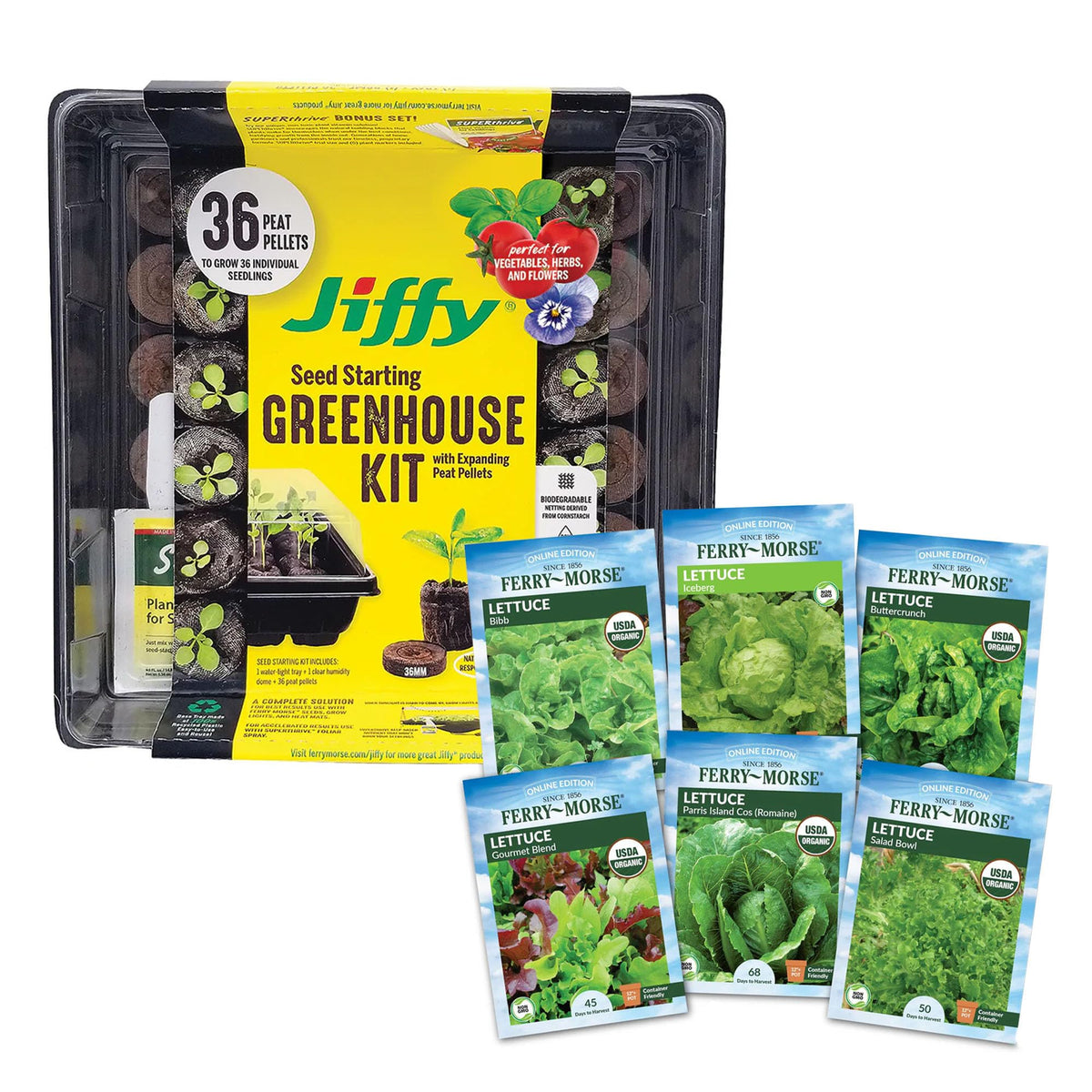 Jiffy Seed Starting Tray Kit - 36 Cell Germination Tray, Portable - 2 Pack, 72 Pellet