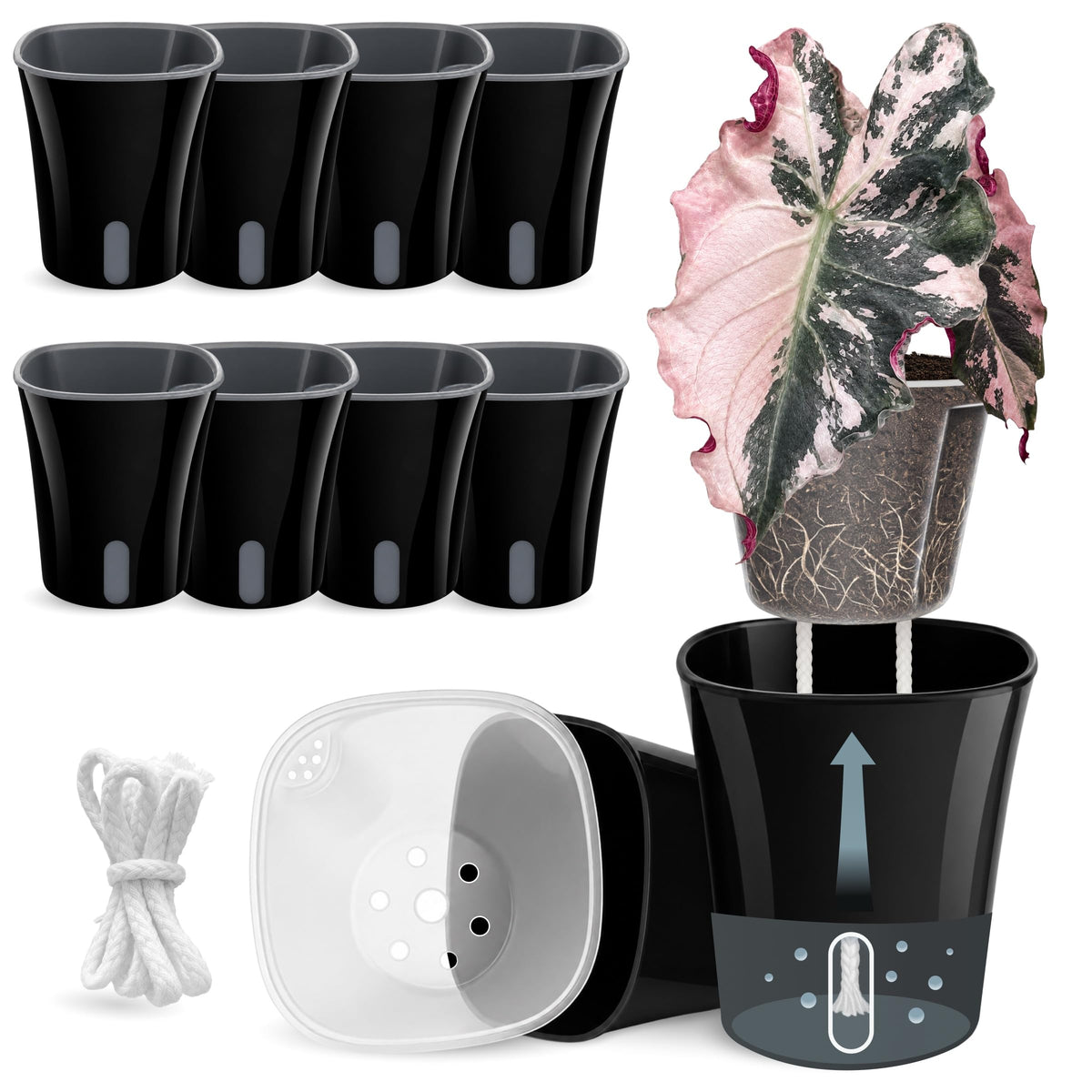 10 Pack 3" Self Watering Pots for Indoor Plants, Clear Inner Cup, Small Pink Plastic Planters, Water Level Indicator, Drainage Holes, Extra 3ft Wick, Cuttings,Seedlings,Herb,African Violet