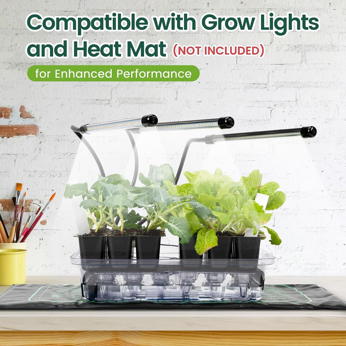 SOLIGT Self Watering Seed Starter Trays with Humidity Domes 6 Pack 144 Cell