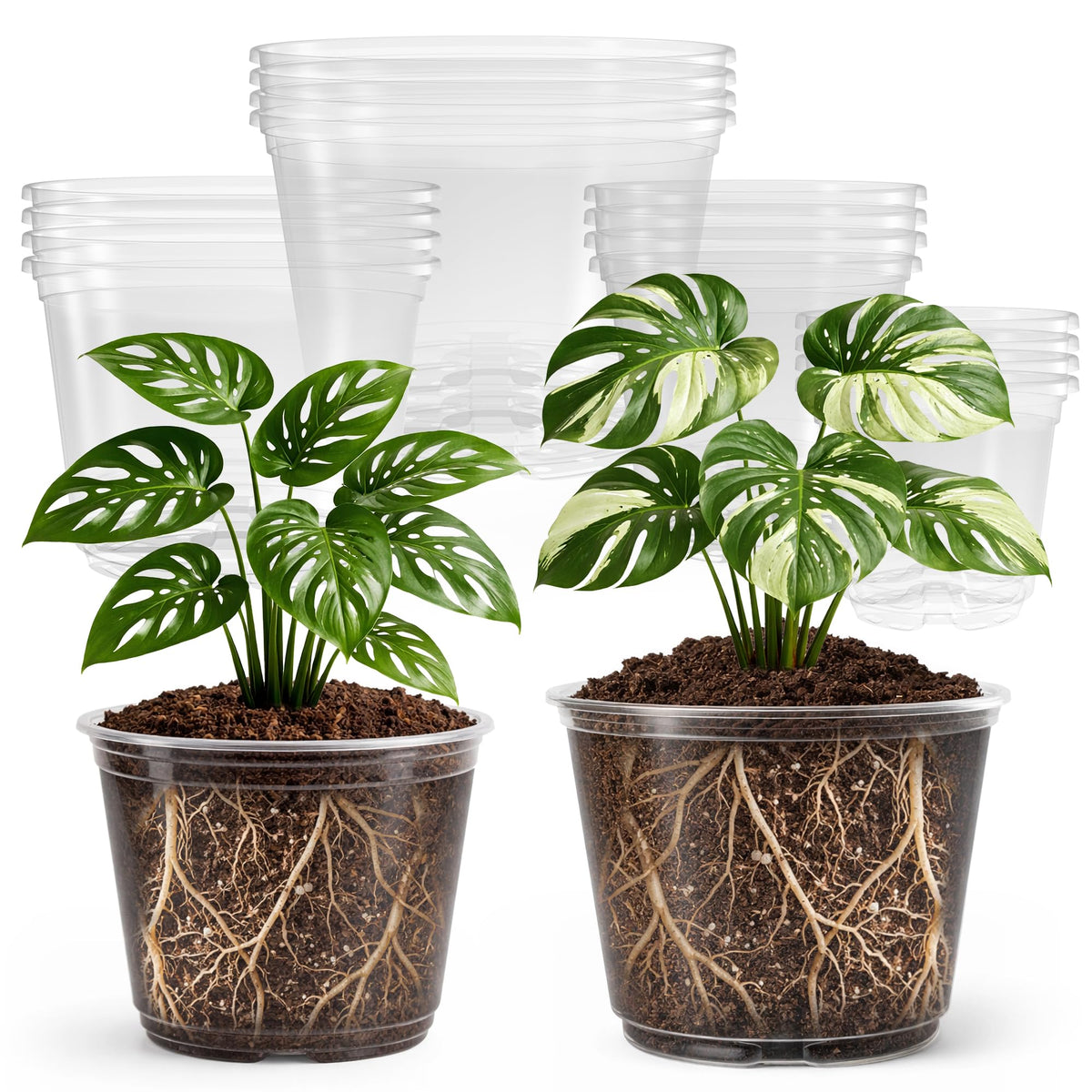 Bluepro Clear Nursery Pots with Drainage Holes, 3.5/4/5/7 Inch, 36-Pack