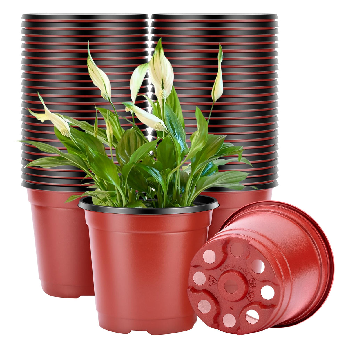 VIVOSUN 50 Pcs 6 in Plastic Plant Nursery Pots, Seed Starting Pots