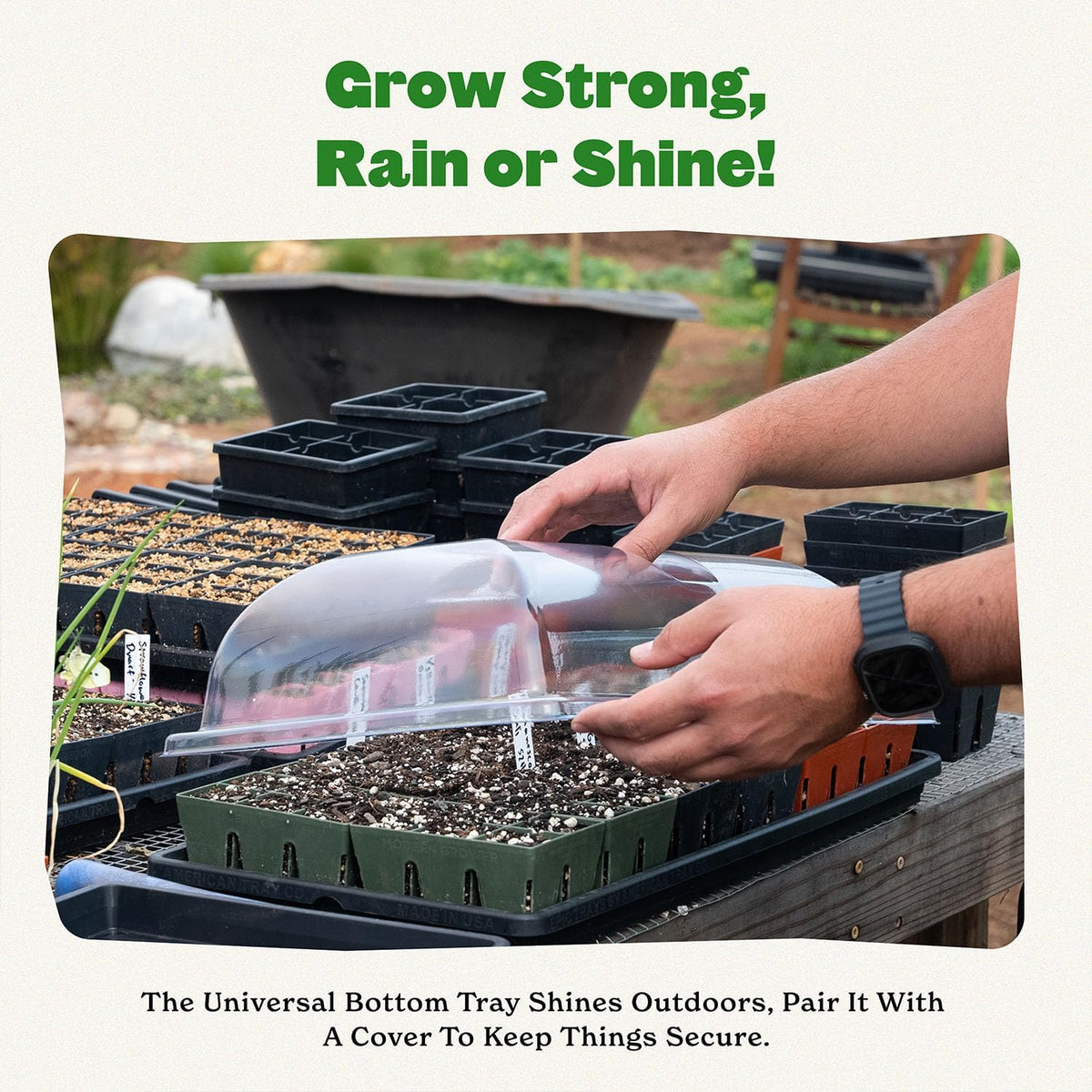 Epic Gardening 1020 Bottom Tray - Bottom-Watering Propagation Tray