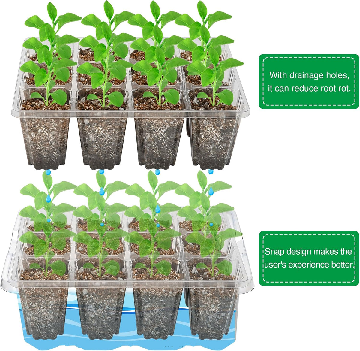 Bonviee 10-Pack Seed Starter Trays, Tall Dome, Base, 12-Cell Tray, Clear