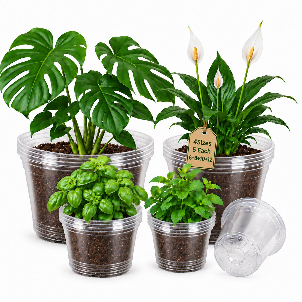 Bluepro Clear Nursery Pots with Drainage Holes, 3.5/4/5/7 Inch, 36-Pack