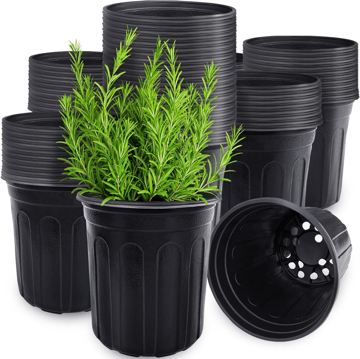 Anyumocz 60 Pcs 1 Gallon Flexible Plant Nursery Pots,Thickened Soft Plastic Seedling Pot with Holes,Flower Plant Container for Succulents,Cuttings,Transplanting,Home Garden(Black)