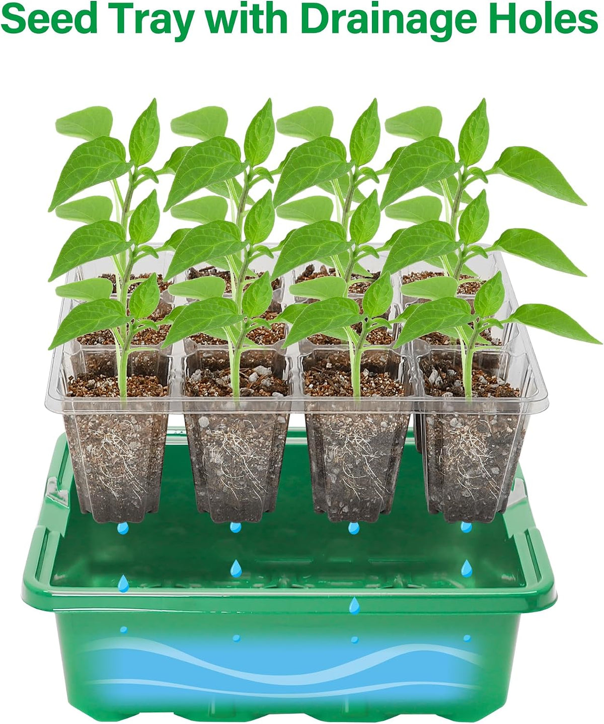Bonviee Seed Starter Trays with 12-LED Grow Lights, Green, 5 Pack