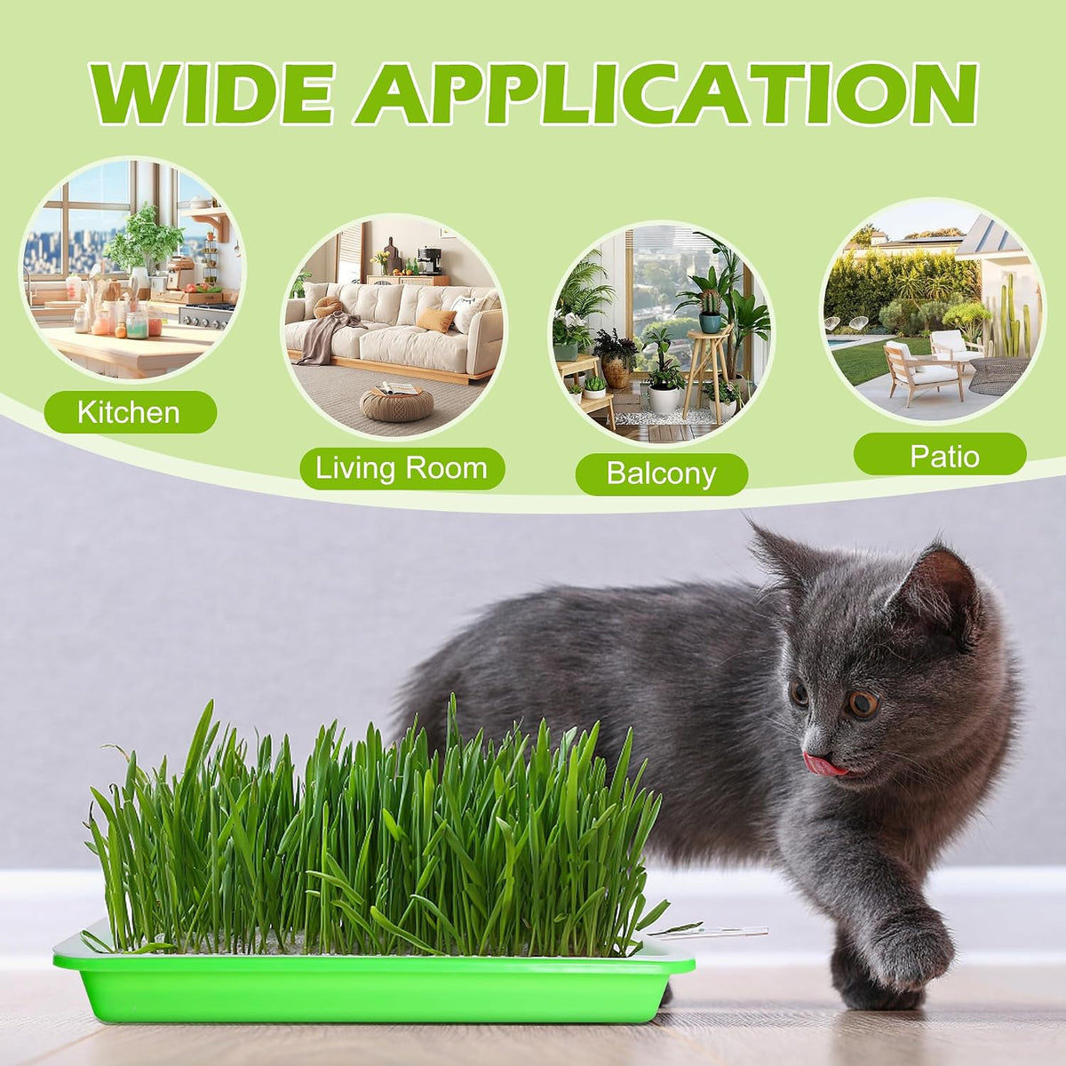 10 Pack Seed Sprouter Tray, Wheatgrass Tray Sprouter Microgreen Growing Kit
