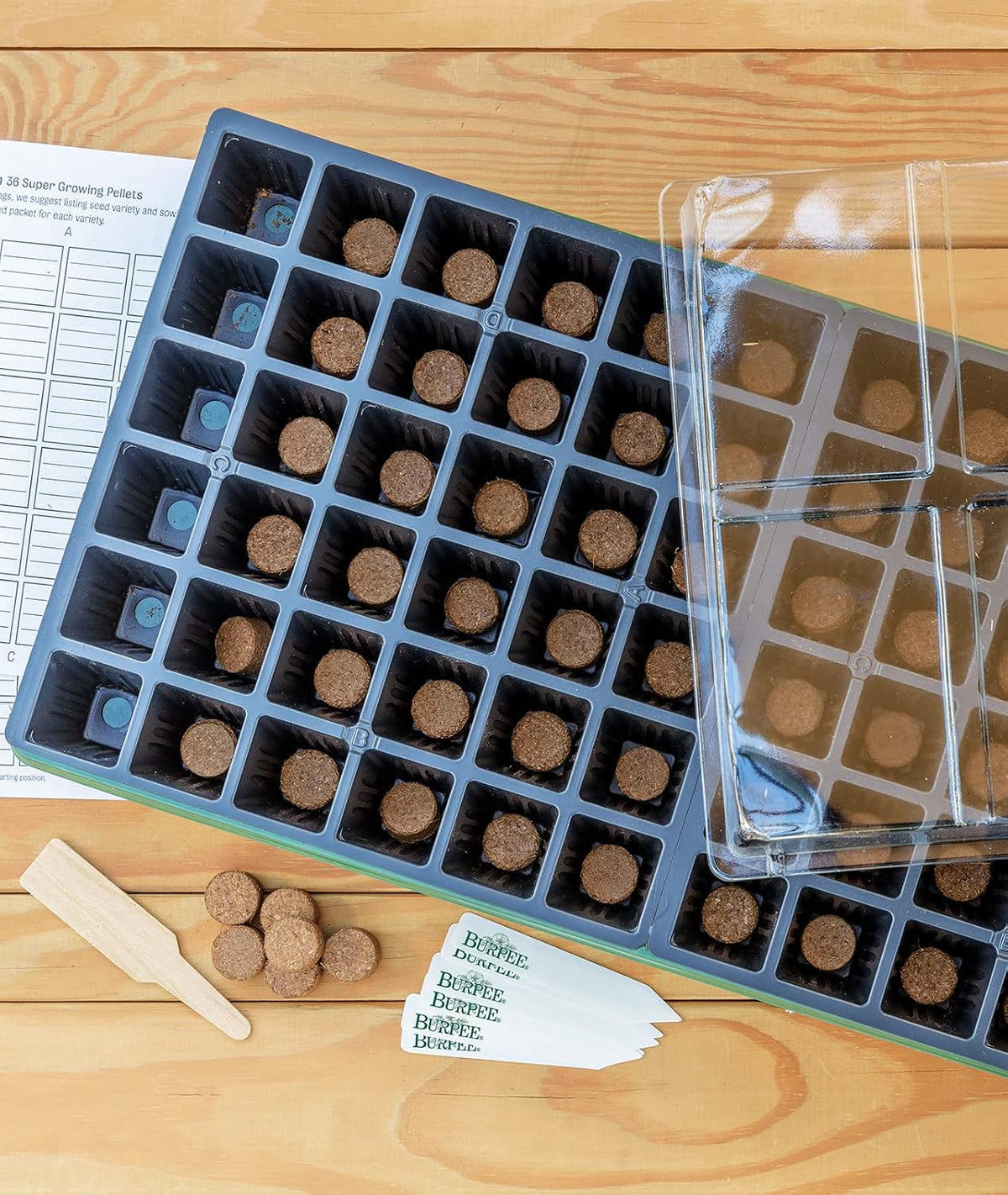 Burpee 72 Cell Seed Starting Kit with Greenhouse Dome and Coir Pellets