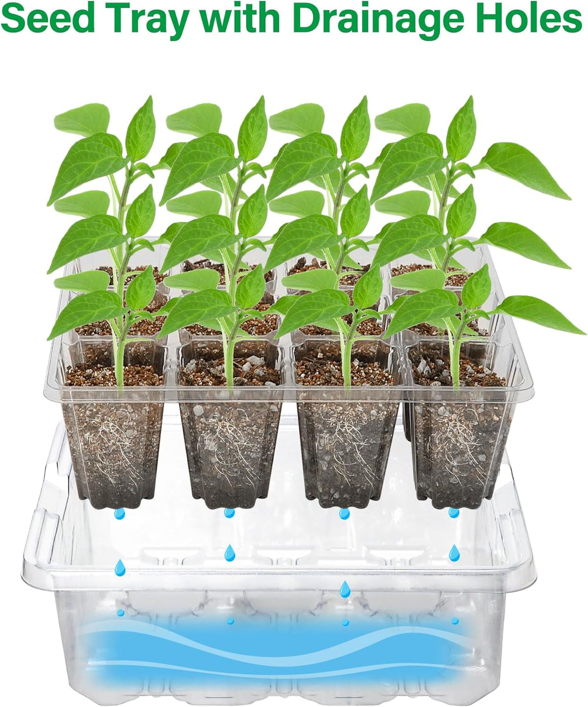 Bonviee Seed Starter Trays with 12-LED Grow Lights, Clear, 5 Pack