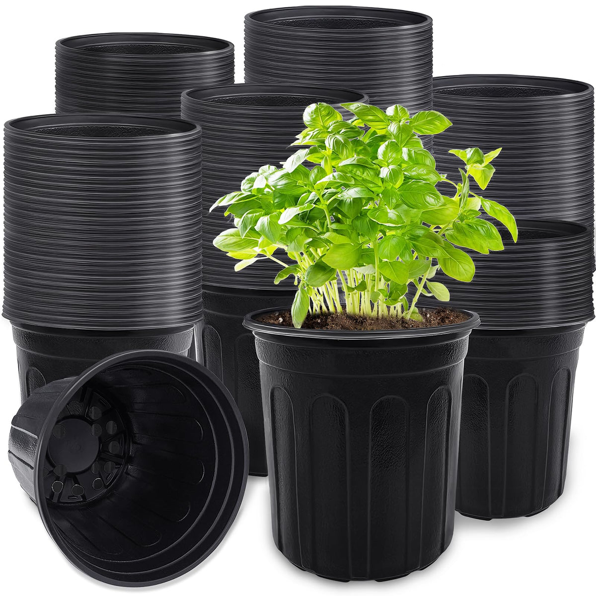 Anyumocz 60 Pcs 1 Gallon Flexible Plant Nursery Pots,Thickened Soft Plastic Seedling Pot with Holes,Flower Plant Container for Succulents,Cuttings,Transplanting,Home Garden(Black)