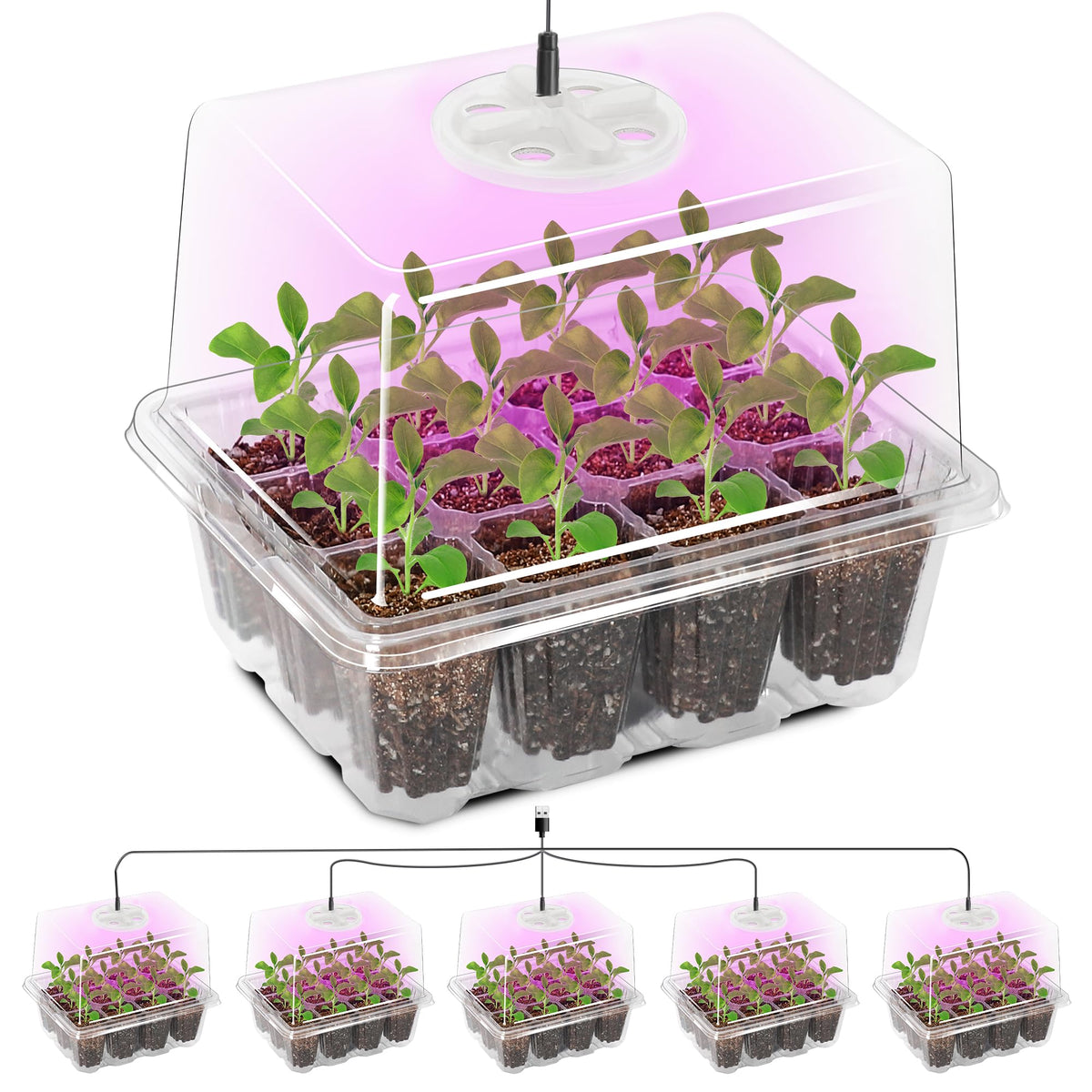 Bonviee Seed Starter Trays with 12-LED Grow Lights, Green, 5 Pack