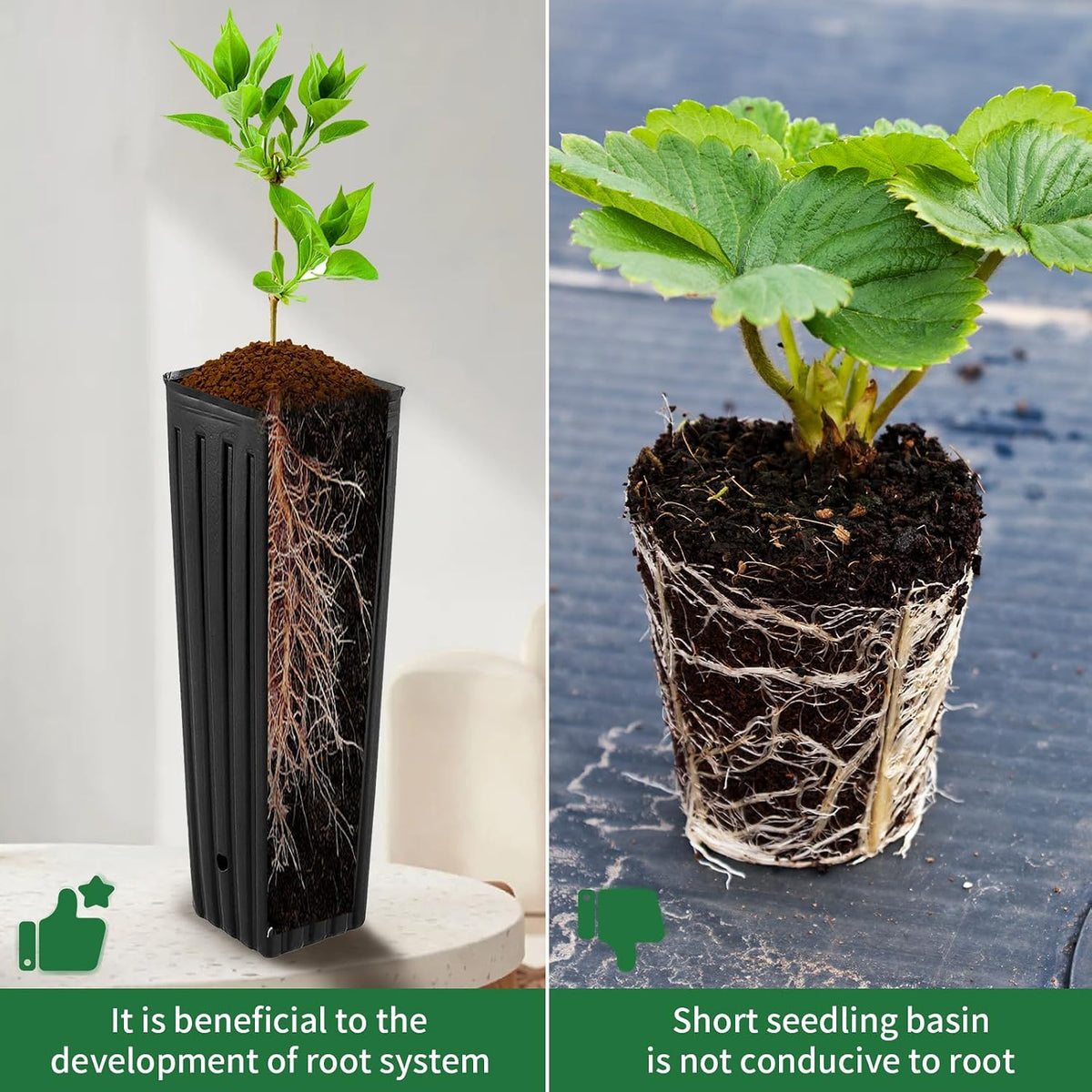 50 Pcs 12" Tall Tree Pots Plastic Deep Nursery Pots