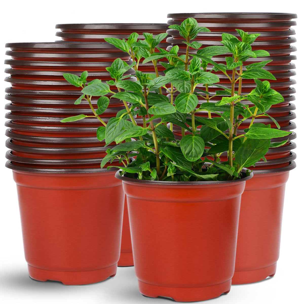 Augshy 110 Pcs 6 Inches Plastic Plants Nursery Pot, Seed Starting Pots