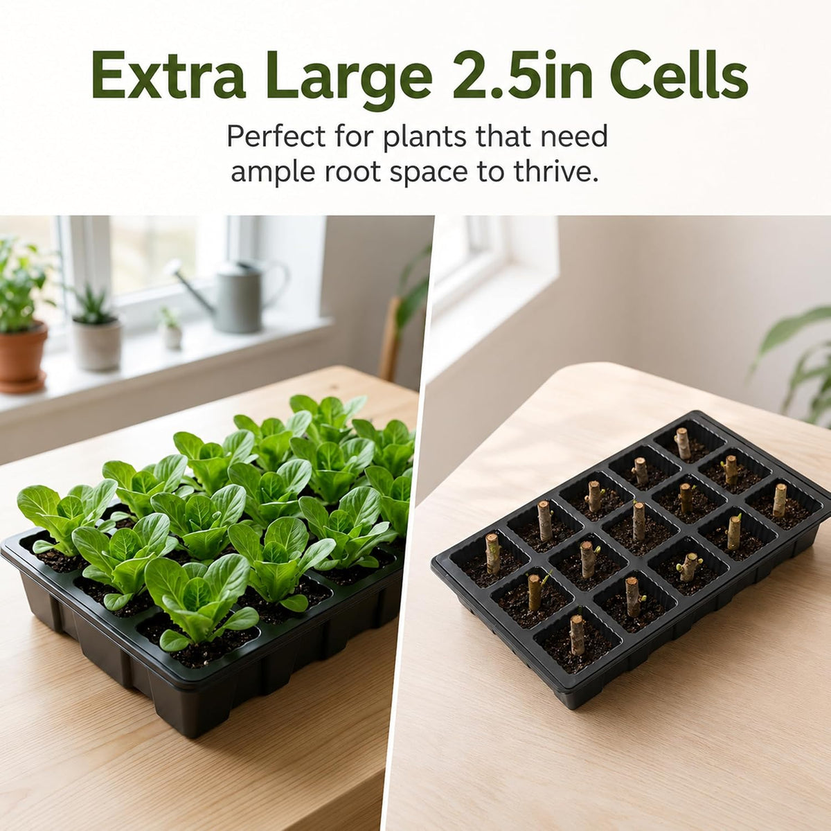 Gardzen 5 Pack Seed Starter Trays with Vented Domes 150 Cell Black