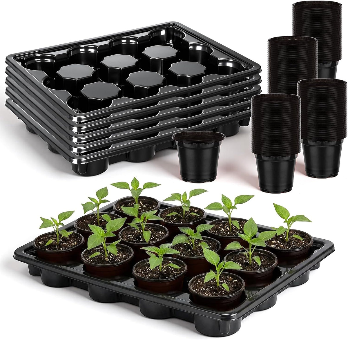 Lounsweer 6 Sets 4 Inch Plant Nursery Pots 72 Pcs and 12 Cell Plant Seed Starter Trays 6 Pcs, Sturdy Seeds Starting Germination Shuttle Carrying Trays, Small Planter Nursery Propagation(Black)