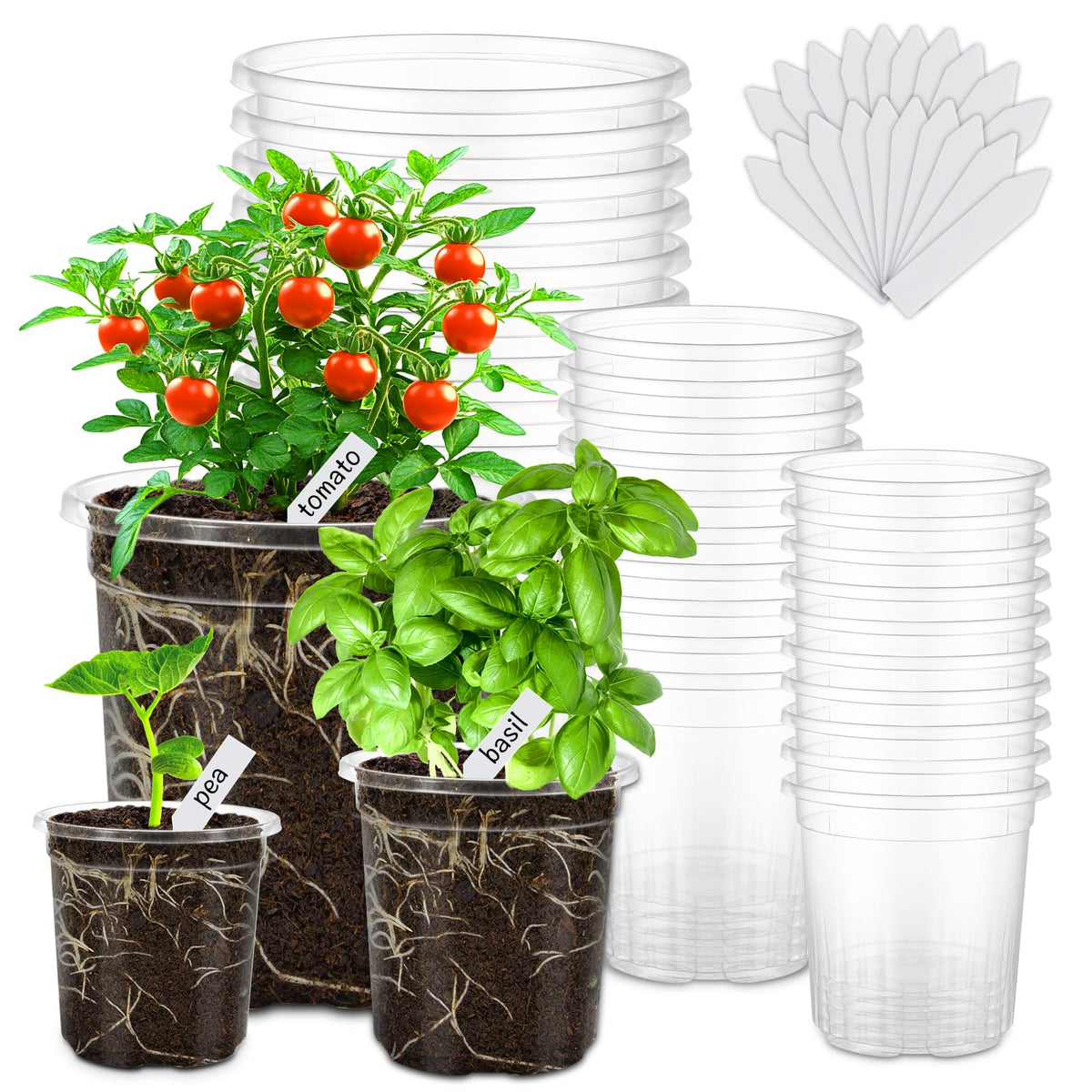 30 Pack Clear Nursery Plant Pots, 4 Inch with Drainage Holes, 20 Labels