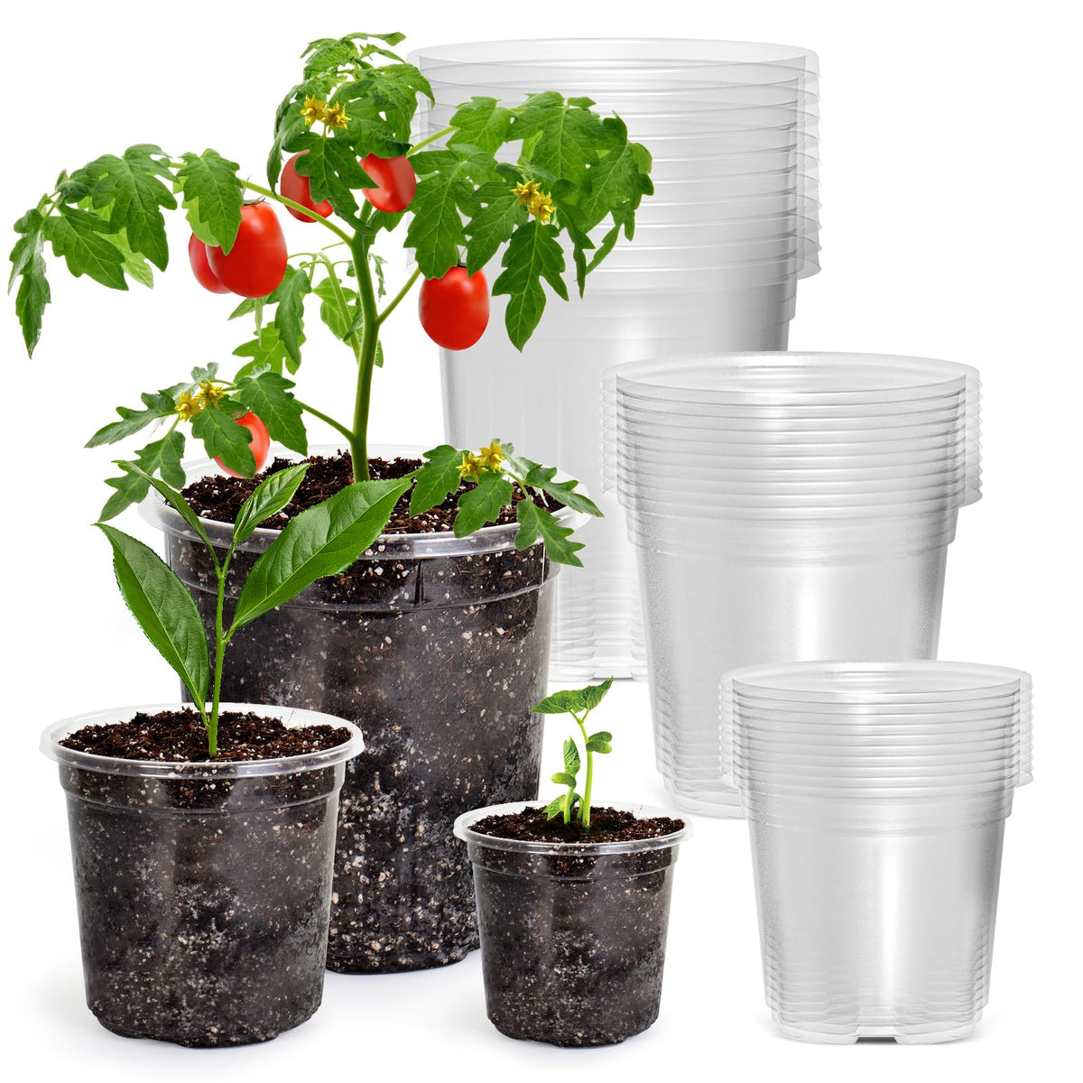 Bluepro Clear Nursery Pots with Drainage Holes, 3.5/4/5/7 Inch, 36-Pack