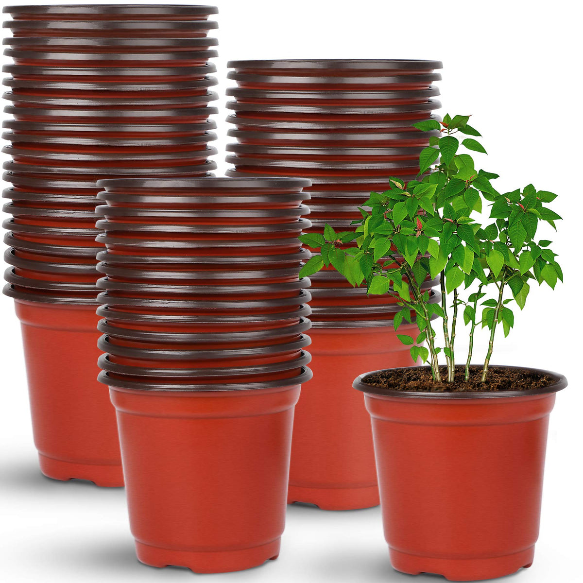 Augshy 220Pcs 4 Inches Plastic Plant Nursery Pots Seed Starting Containers