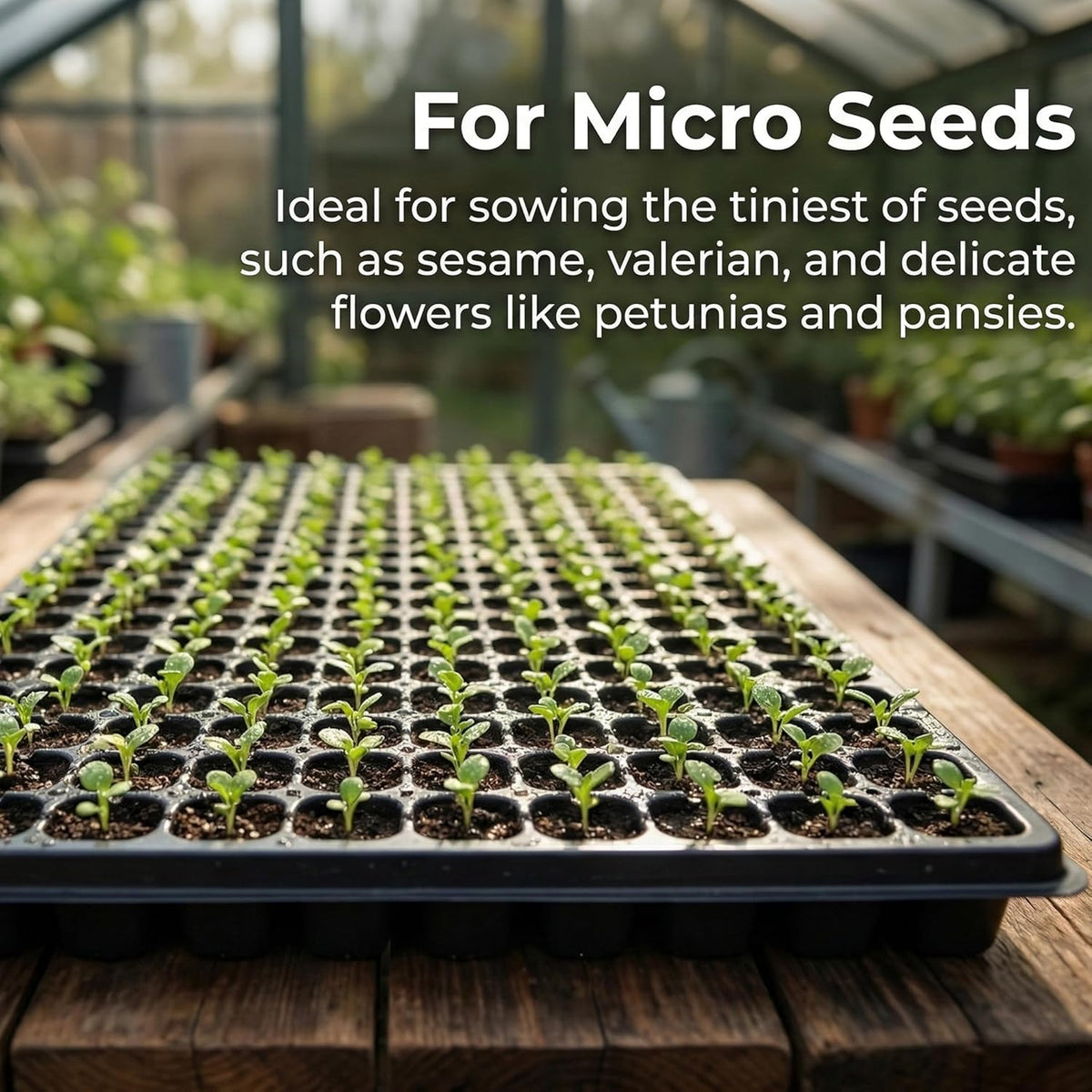 Gardzen 10 Pack 200 Cell Seed Starter Trays