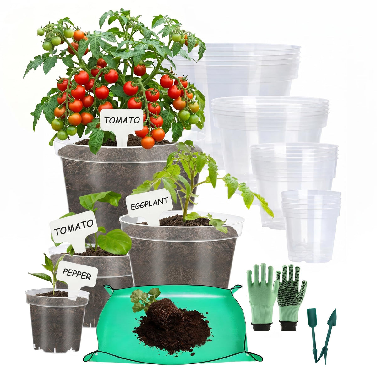16 Pack 10/8/6/4 Inch Sizes Large Clear Nursery Pots with Drainage