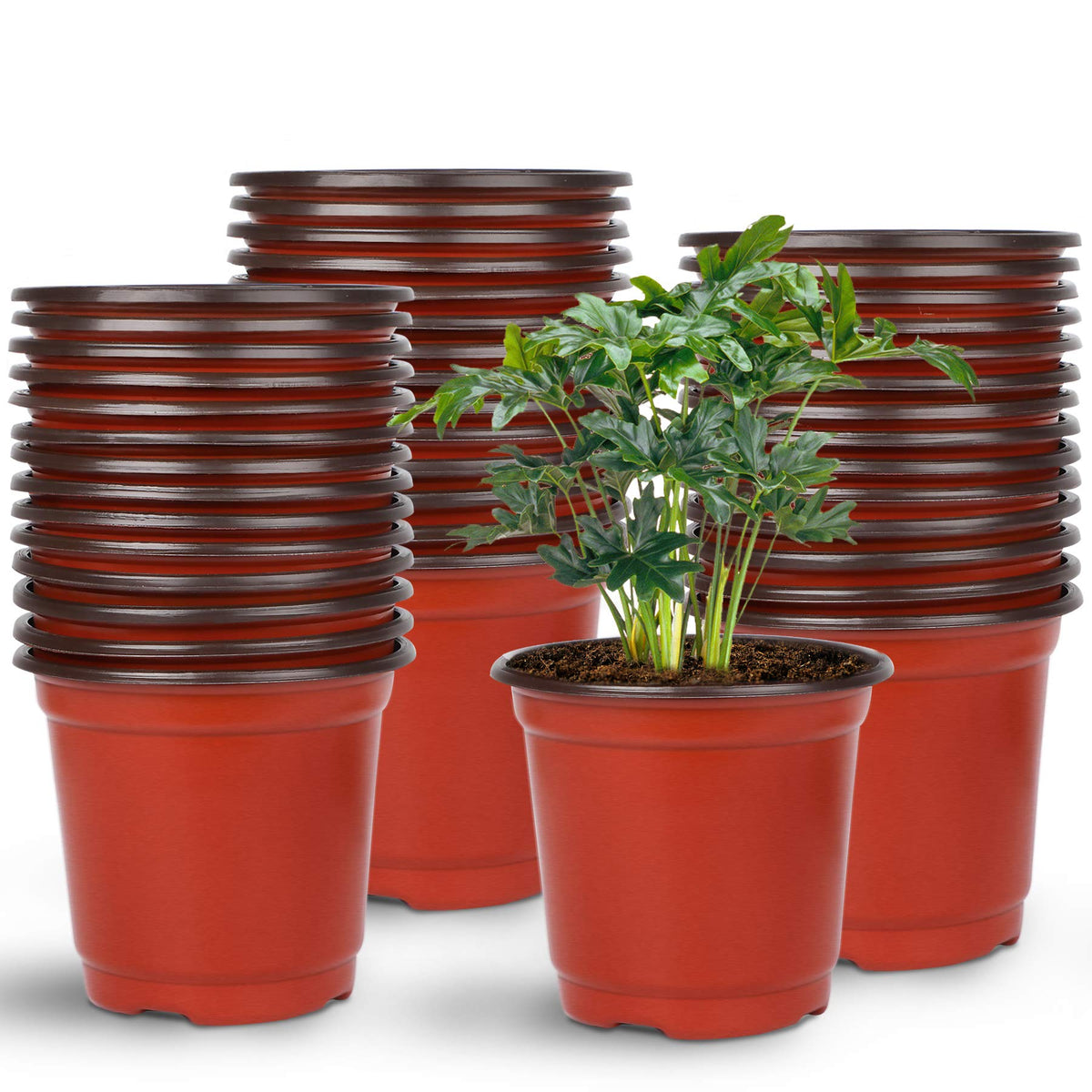 Augshy 220Pcs 4 Inches Plastic Plant Nursery Pots Seed Starting Containers