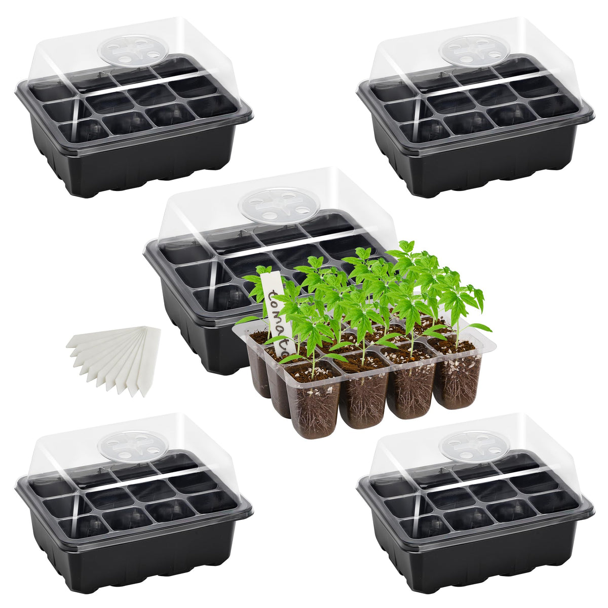 Bonviee 10-Pack Seed Starter Trays, Tall Dome, Base, 12-Cell Tray, Clear