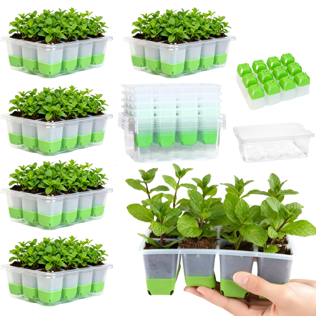 5 Pack 60-Cell Flexible Silicone Seed Starter Trays for Easy Transplant