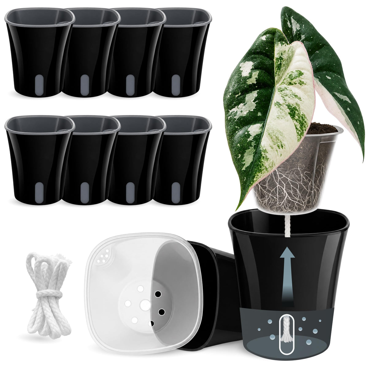 10 Pack 3" Self Watering Pots for Indoor Plants, Clear Inner Cup, Small Pink Plastic Planters, Water Level Indicator, Drainage Holes, Extra 3ft Wick, Cuttings,Seedlings,Herb,African Violet