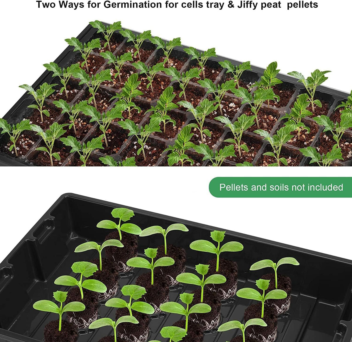MIXC 5 Pack Seed Starter Tray, 200Cell Mini Propagator Greenhouse Grow Kit