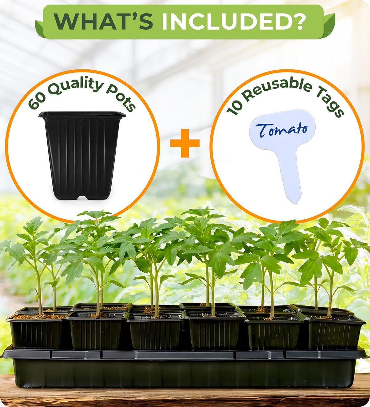 CARPATHEN Nursery Pots for Plants with Drainage Holes, 3.5 inch, 60 Pack