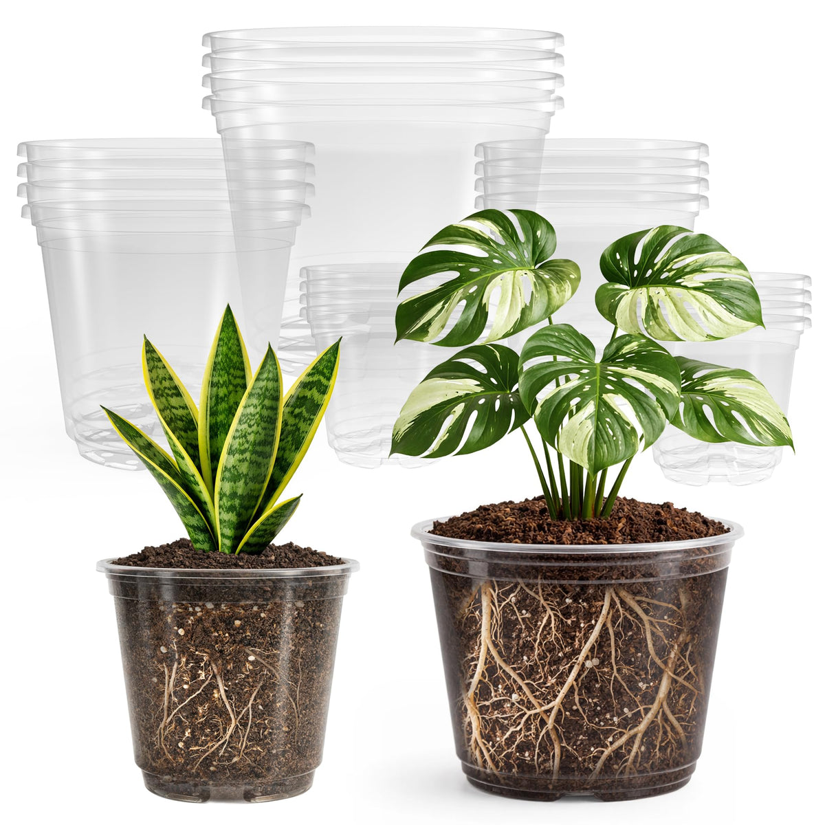 Bluepro Clear Nursery Pots with Drainage Holes, 3.5/4/5/7 Inch, 36-Pack