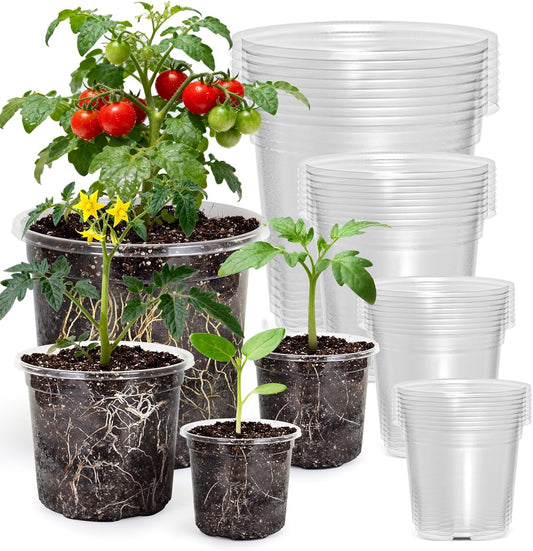MIXC Clear Nursery Pots with Drainage Holes, 7/5/4/3.5 Inch 36 Pack