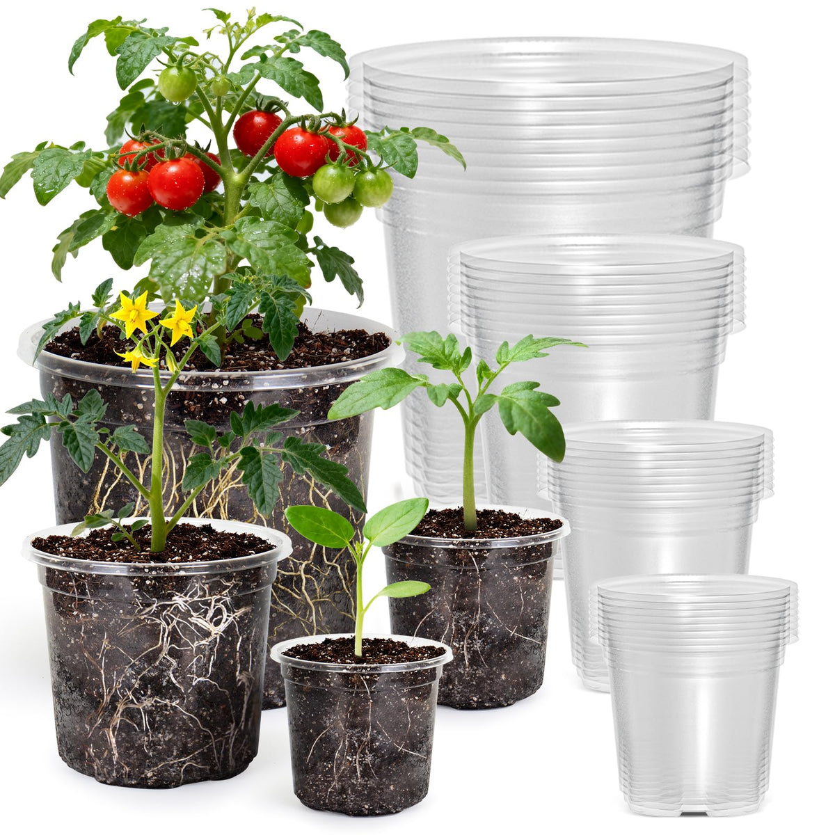 MIXC Clear Nursery Pots with Drainage Holes, 7/5/4/3.5 Inch 36 Pack
