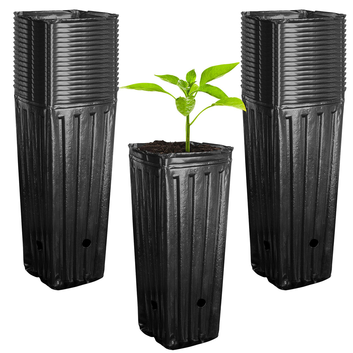 RunNico 50pcs Plastic Deep Plant Nursery Pots, 9.8”Tall Tree Pots,Black Deep Seedling Container Pots with Drainage Holes for Indoor Outdoor Gardening (4.7" Wx9.8 H)
